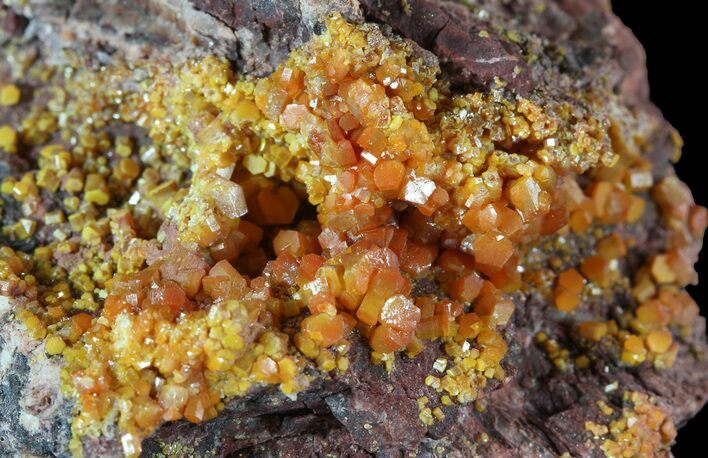Orange Hexagonal Wulfenite Crystal Cluster - Rowley Mine, AZ #49379